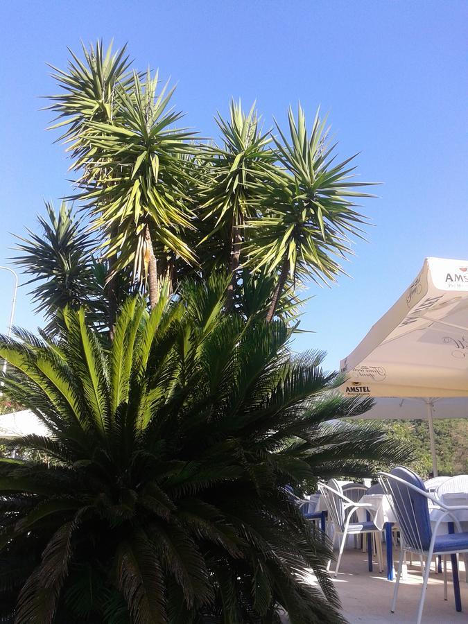Hotel Jovana Μπούντβα Εξωτερικό φωτογραφία
